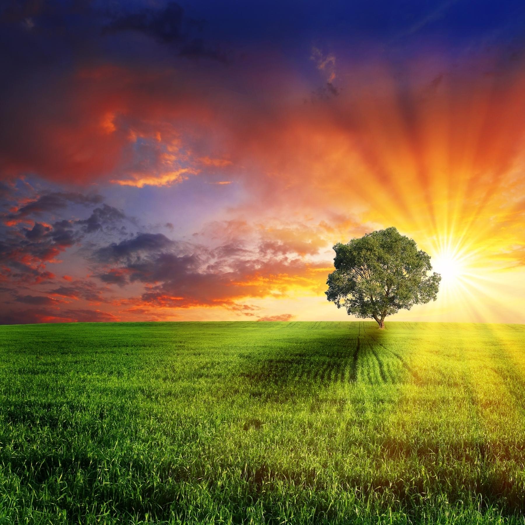 Nature writing -  Natur als Sprachlandschaft