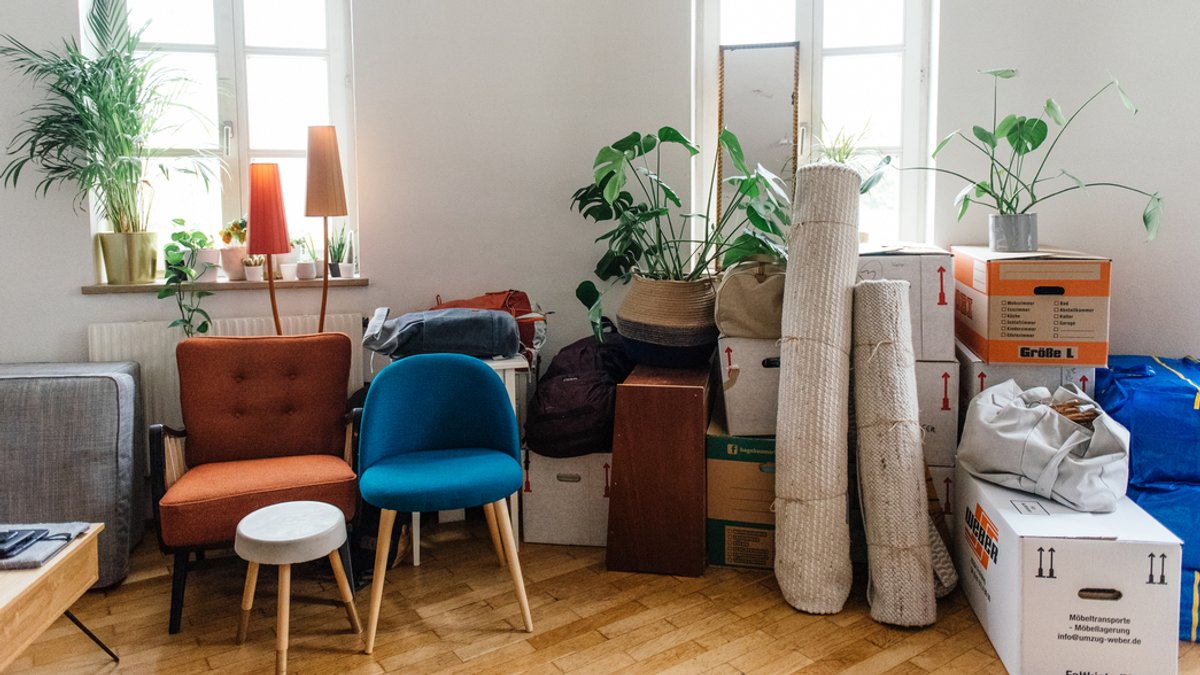 Möbel, Teppiche, Pflanzen und Umzugskartons in einer leeren Wohnung.