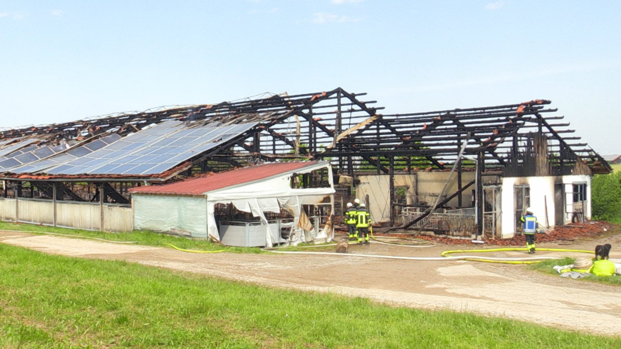 Großbrand im Ostallgäu: Rund 140 Rinder sterben in den Flammen