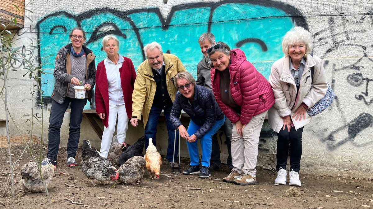 Kunstprojekt in Kempten: Hühner für die Seele