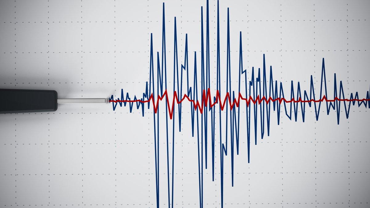 Ein Seismogramm zeigt eine seismische Aktivität, die ein Erdbeben darstellt.