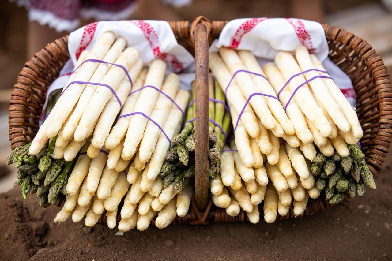 Vom Ahorn bis zur Zwiebel - Der Spargel