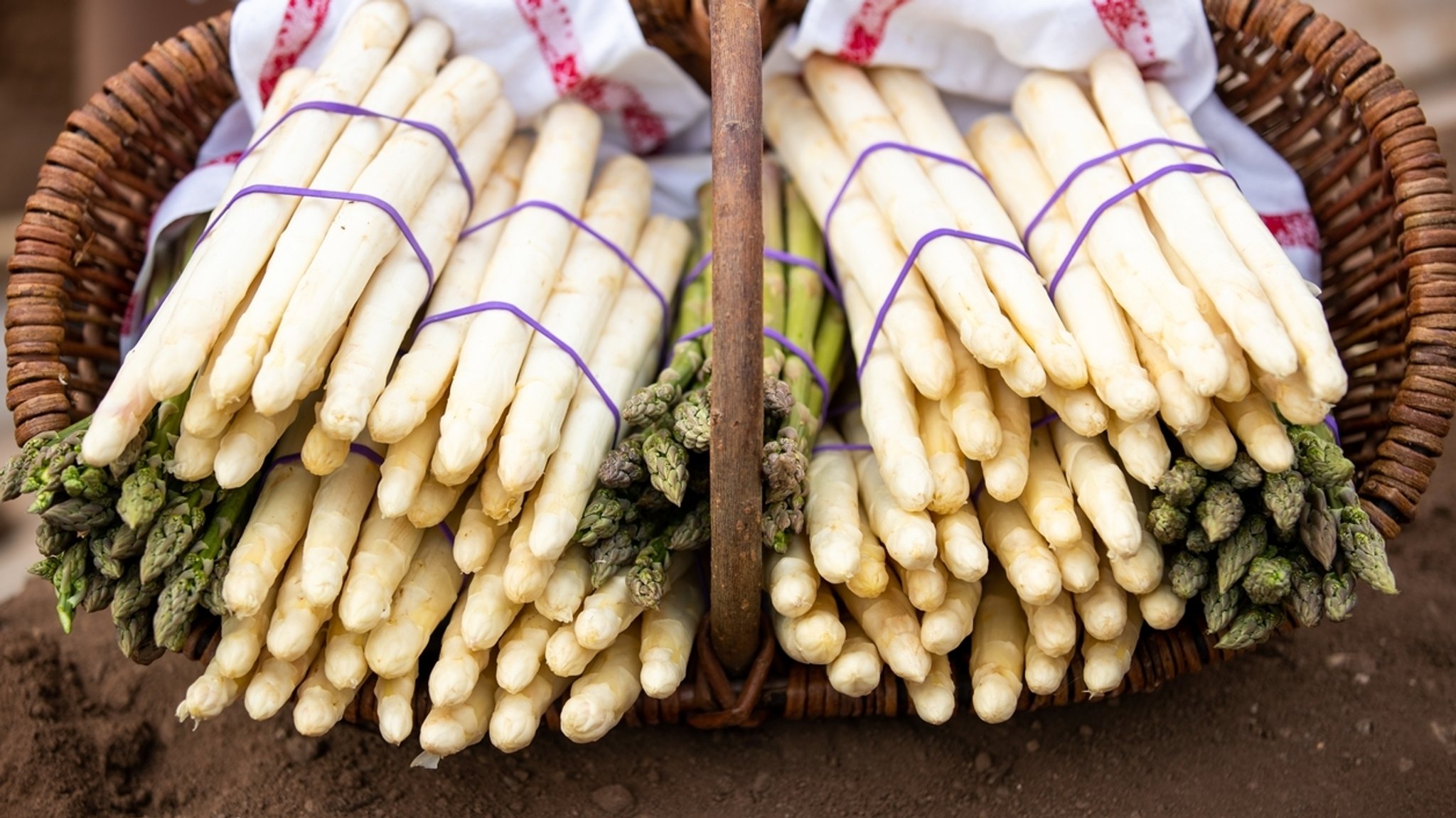 Vom Ahorn bis zur Zwiebel - Der Spargel