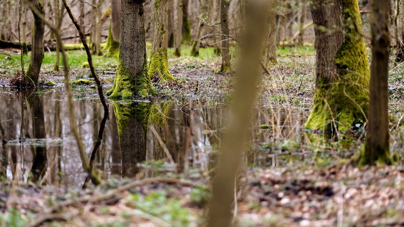 Das Grundwasser in Bayern steigt wieder | Bild: BR/pa Das Grundwasser in Bayern steigt wieder