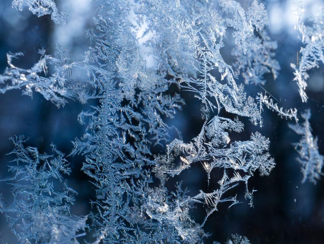 Eisblumen wachsen an einer Glasscheibe (Symbolbild).