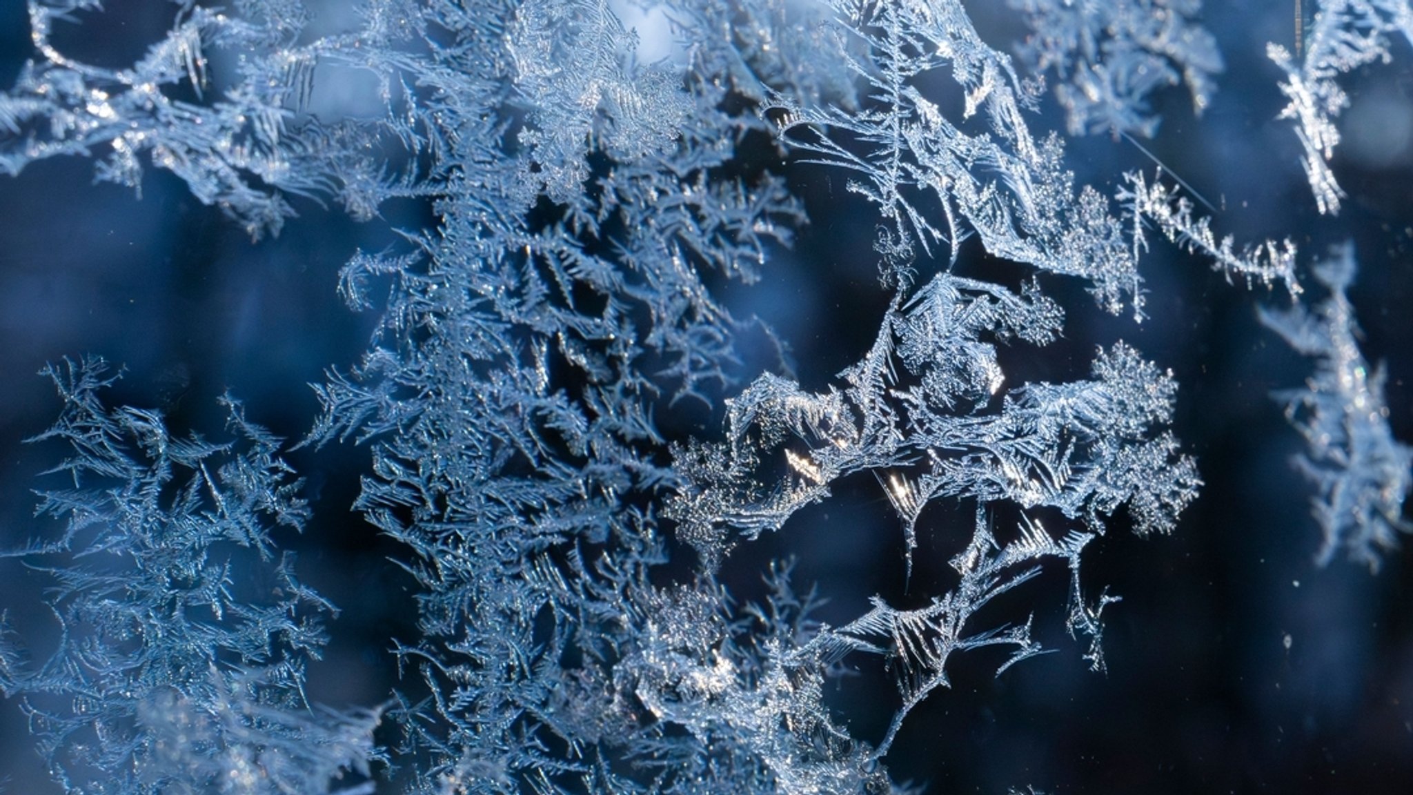 Eisblumen wachsen an einer Glasscheibe (Symbolbild).