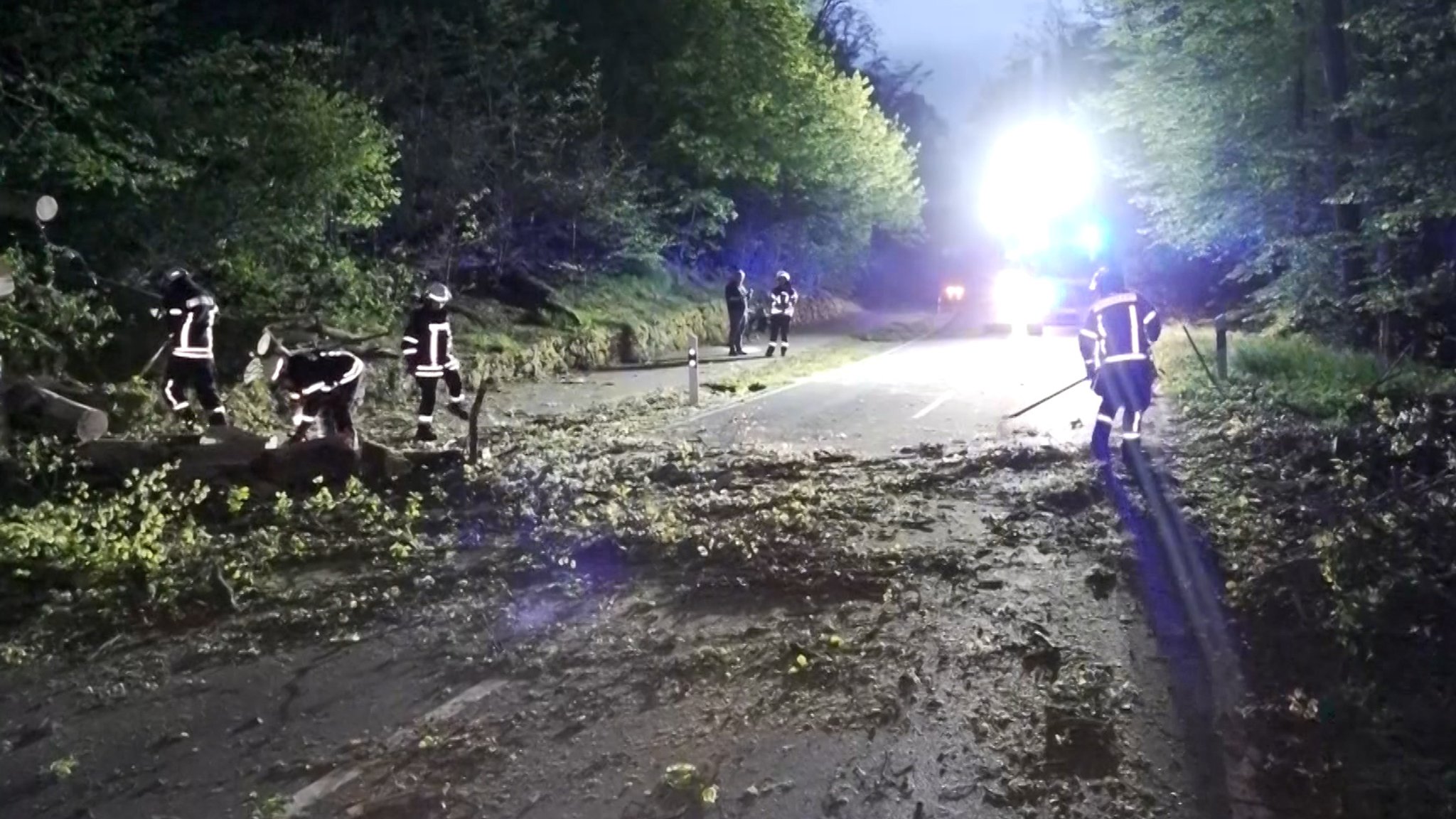 Bäume blockierten viele Straßen. 