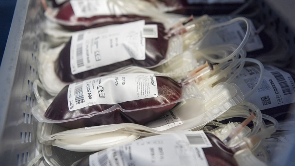 Blutbeutel mit frisch gespendetem Blut werden gesammelt und kühl gelagert bevor sie weiterverarbeitet werden.