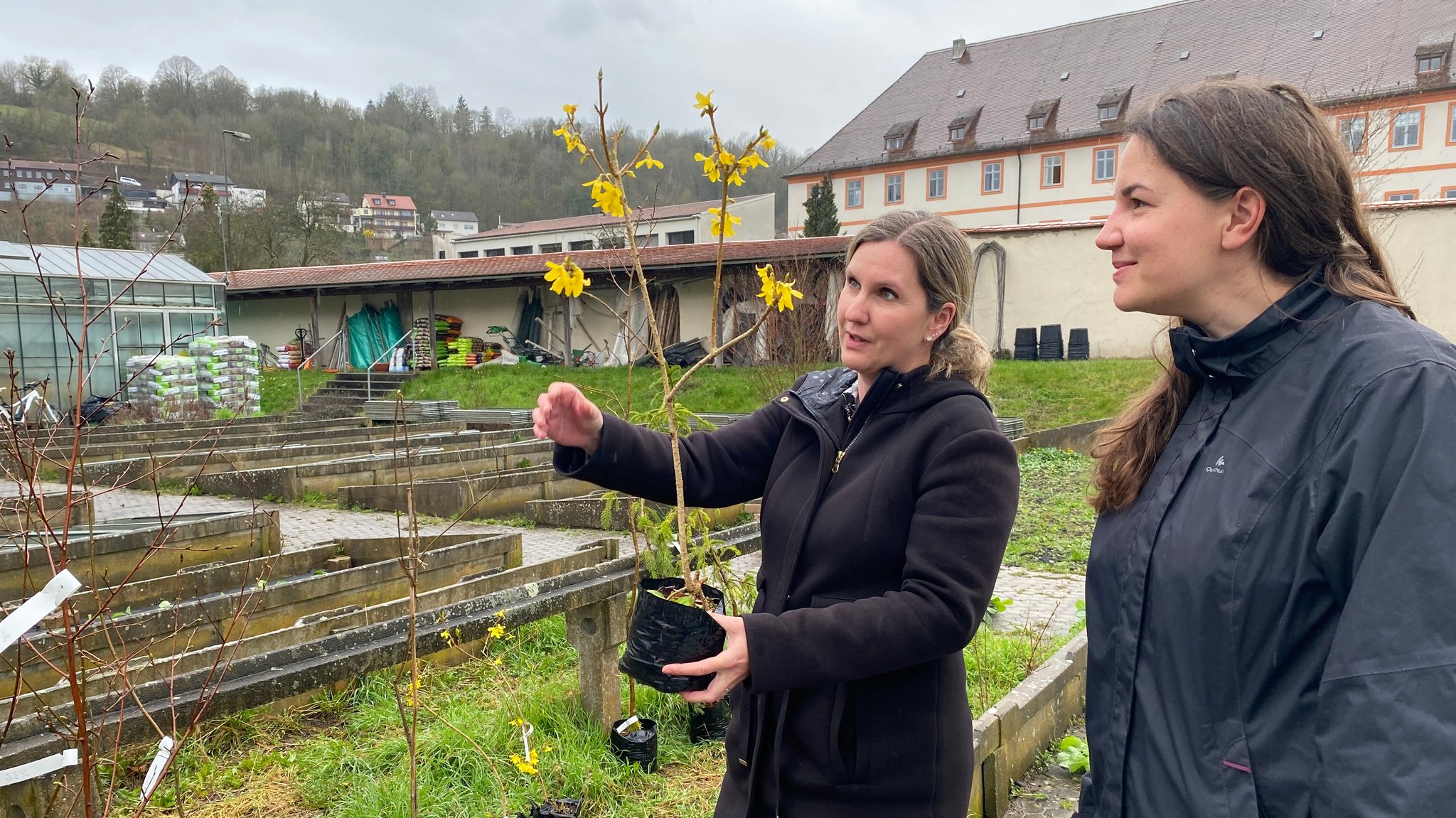 Professorin Susanne Jochner-Oette baut mit ihren Mitarbeitern einen phänologischen Garten in Eichstätt auf.