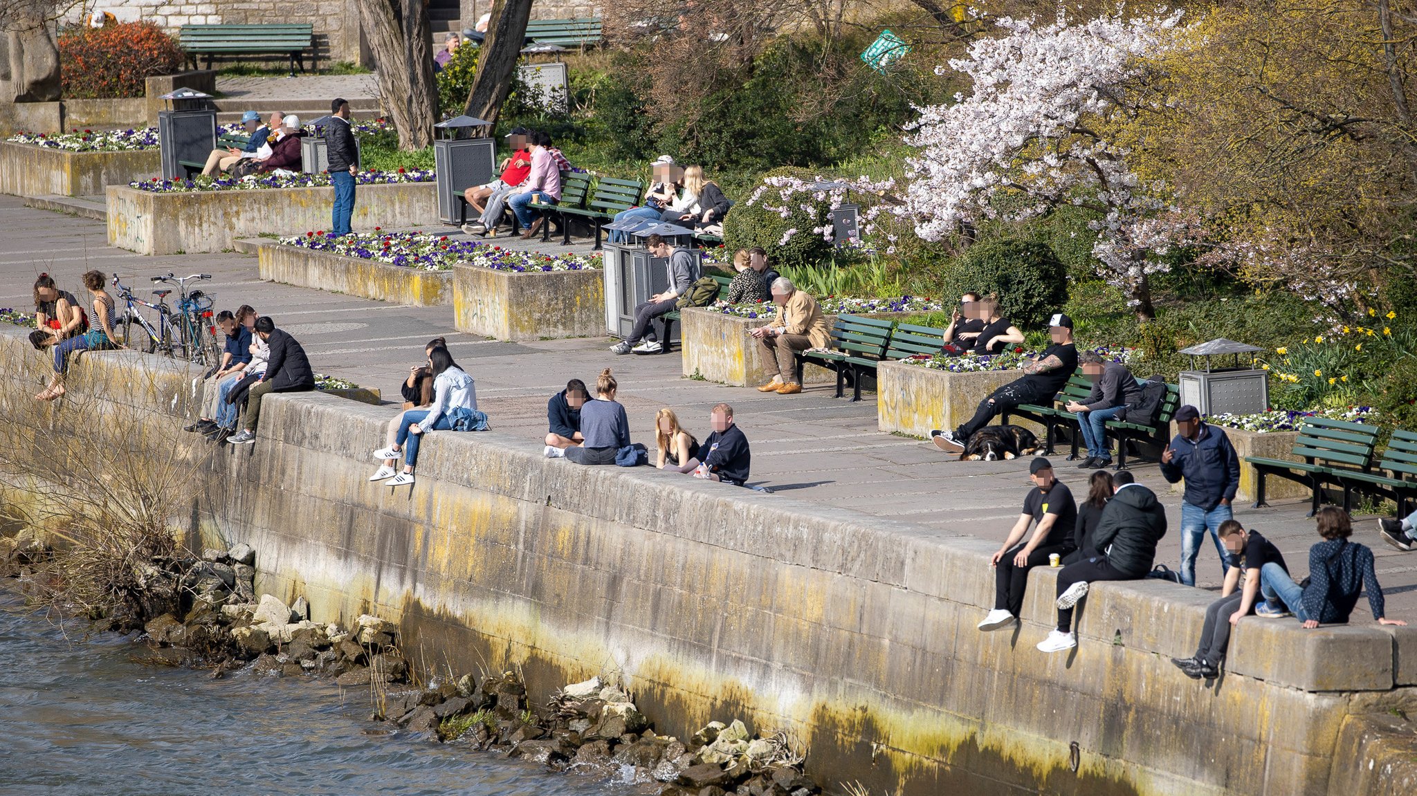 Menschen sitzen in Würzburg am Mainufer.