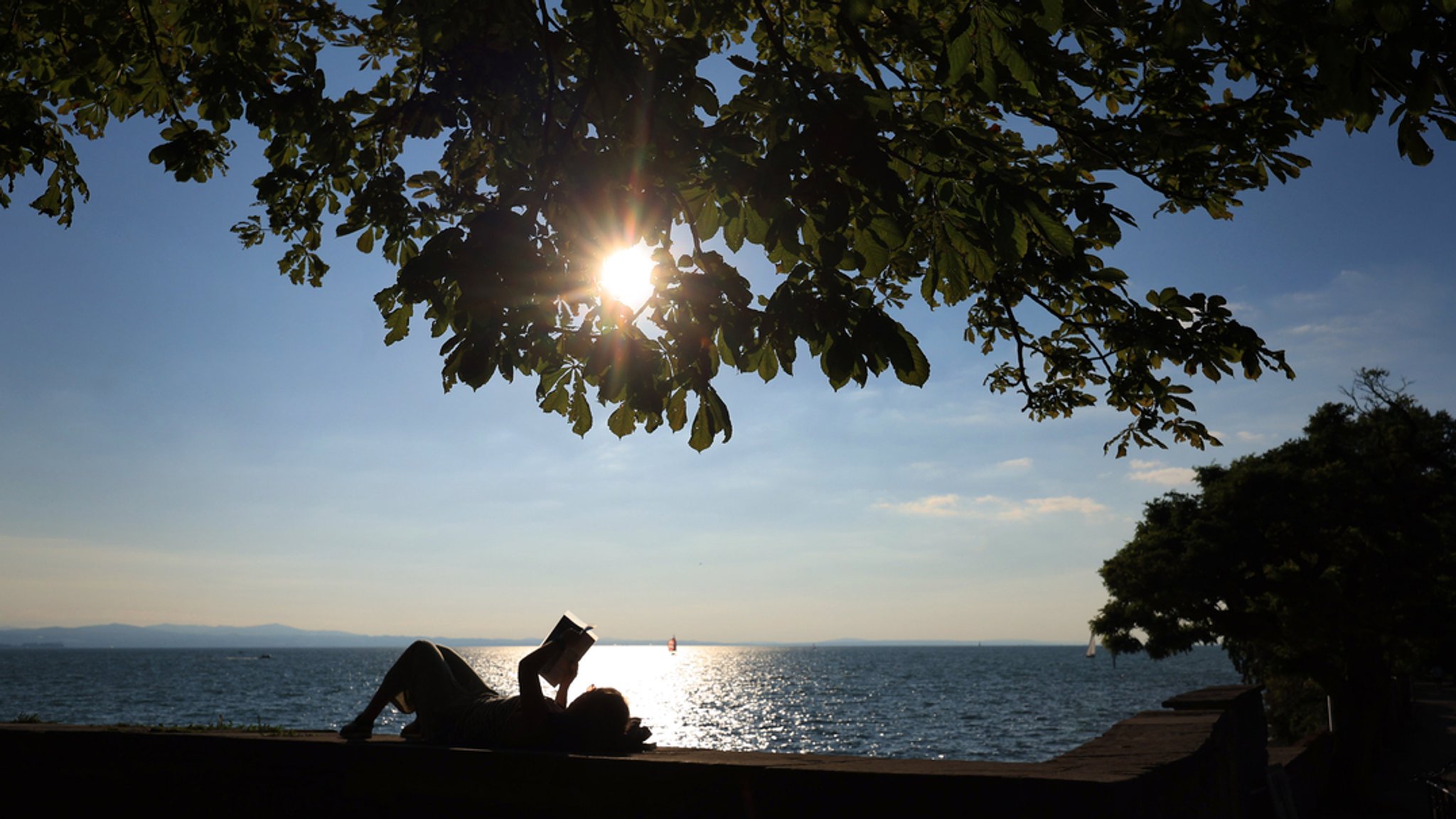 Jemand liegt an einem sonnigen Tag in Lindau am Bodensee und liest etwas.