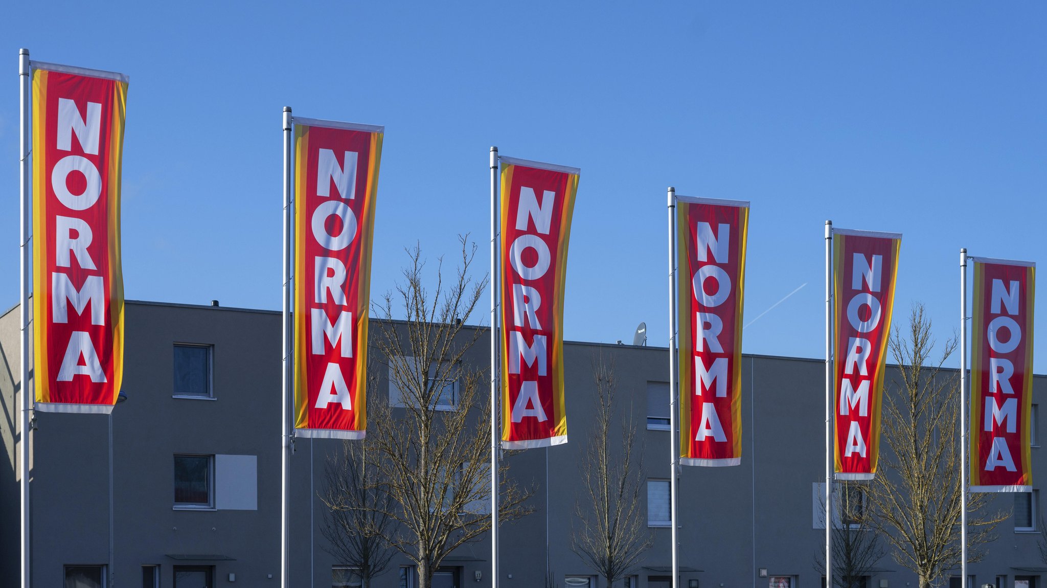 Rattenplage beim Discounter Norma: Wie kann es dazu kommen?