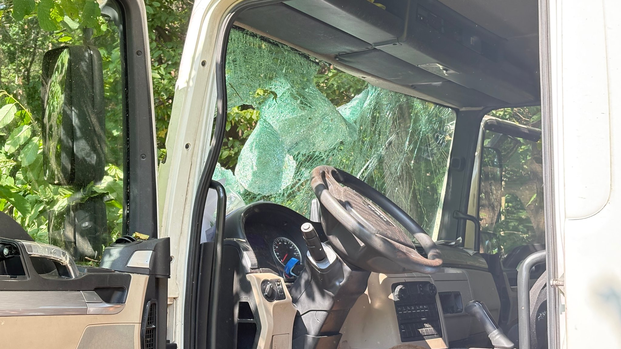 Schwerer Unfall: Reh kracht durch Lkw-Scheibe, Fahrer bewusstlos