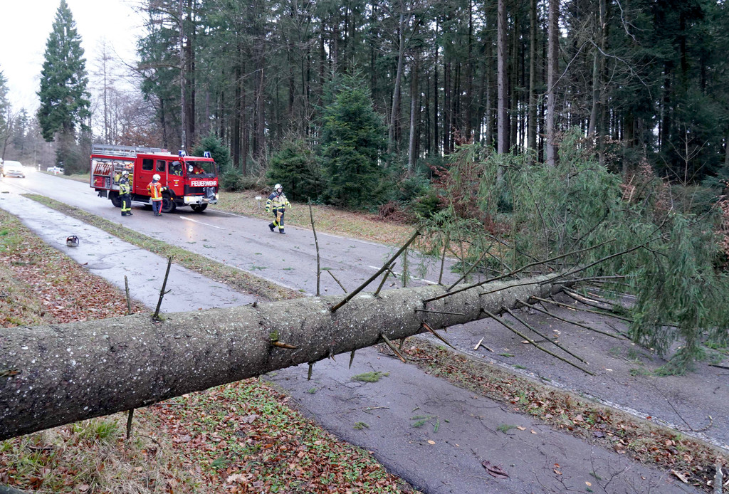 Einsatzkräfte der Feuerwehr arbeiten an einer Unfallstelle bei Kaiserbach, an der nach einem Sturm ein Baum auf eine Straße gestürzt ist