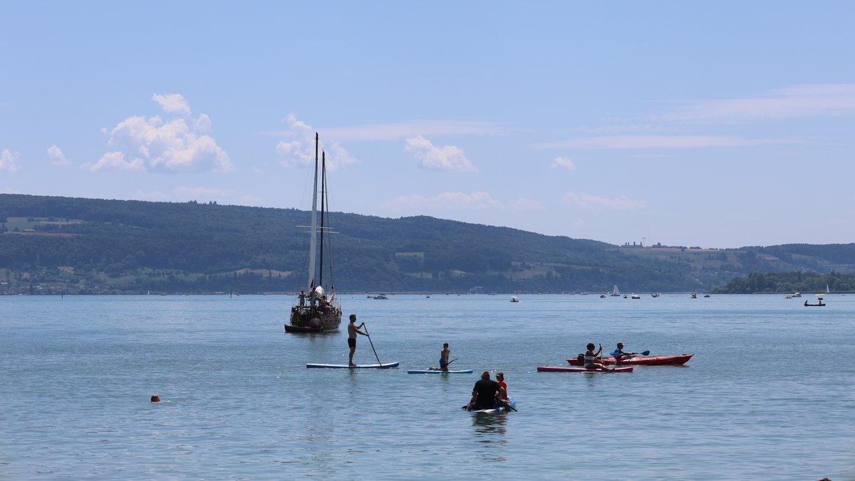 SUPs, Kanus und ein Segelboot auf dem Bodensee