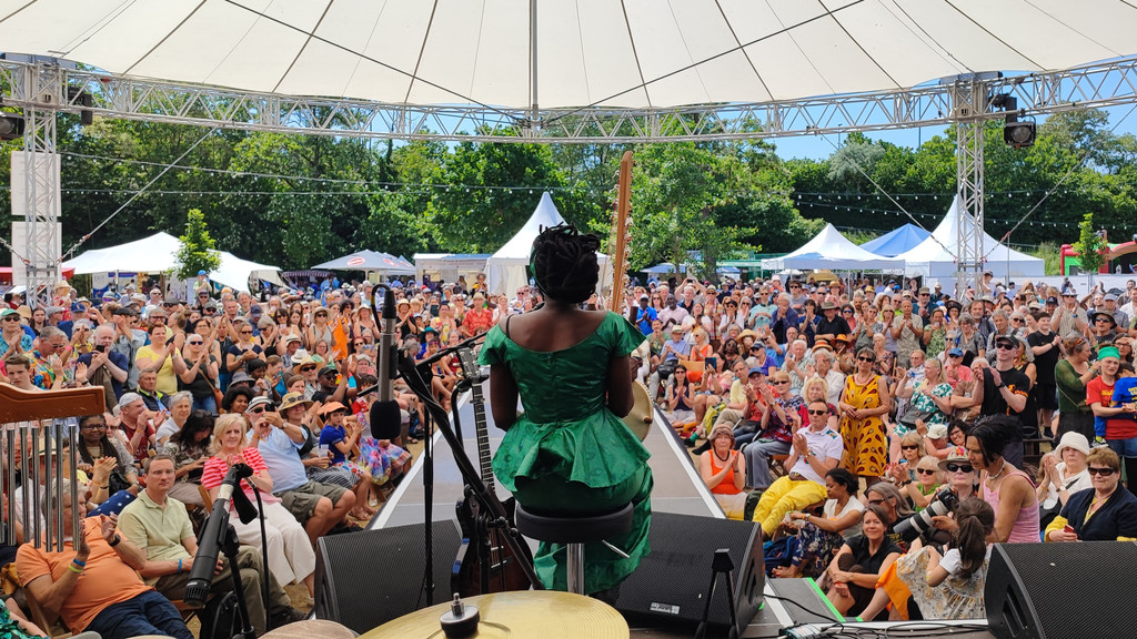 Blick von der Bühne am Africa Festival in Würzburg