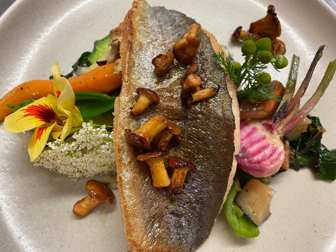 Forelle mit Wildkräutern gibt es im Restaurant Harmonie in Oberfranken.