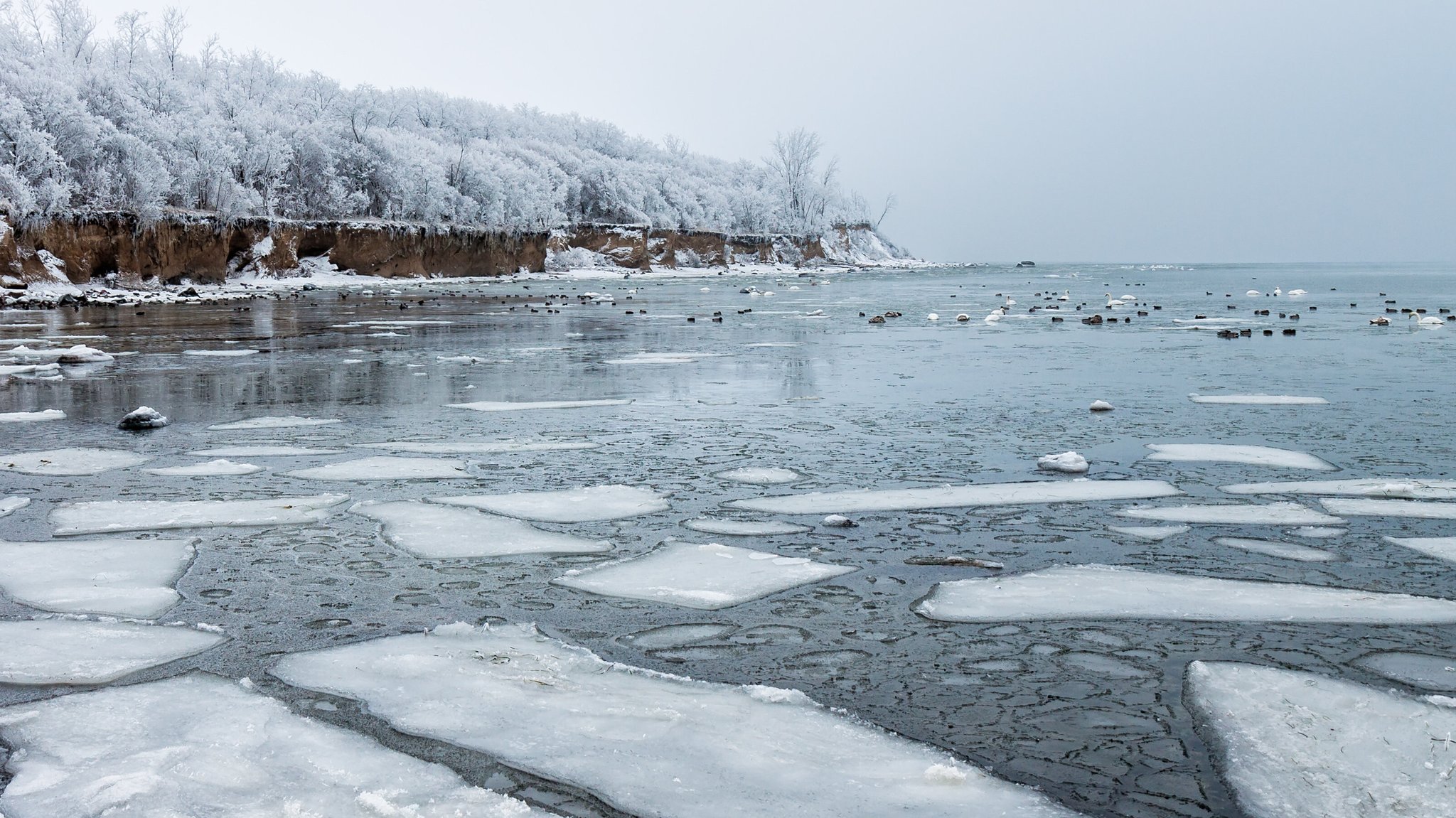 Spaziergänger nach Stunden von Eisscholle auf Ostsee gerettet