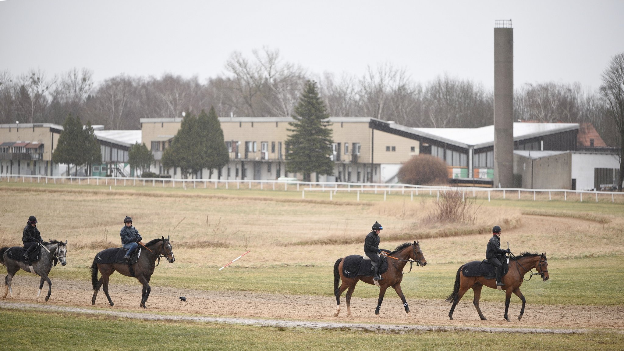 Reiter beim Ausritt mit Rennpferden auf der olympischen Reitanlage in Riem