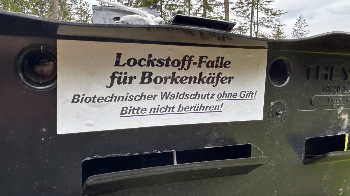 "Lockstoff-Falle für Borkenkäfer, biotechnischer Waldschutz ohne Gift! Bitte nicht berühren!" steht auf einem schwarzen objekt mit zwei Klappen geschrieben. 