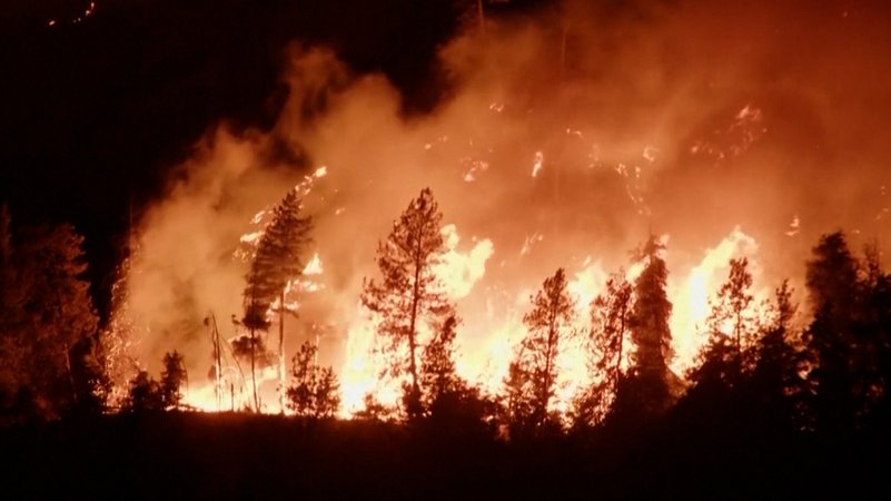 Schwere Waldbrände in Kanada und auf Teneriffa