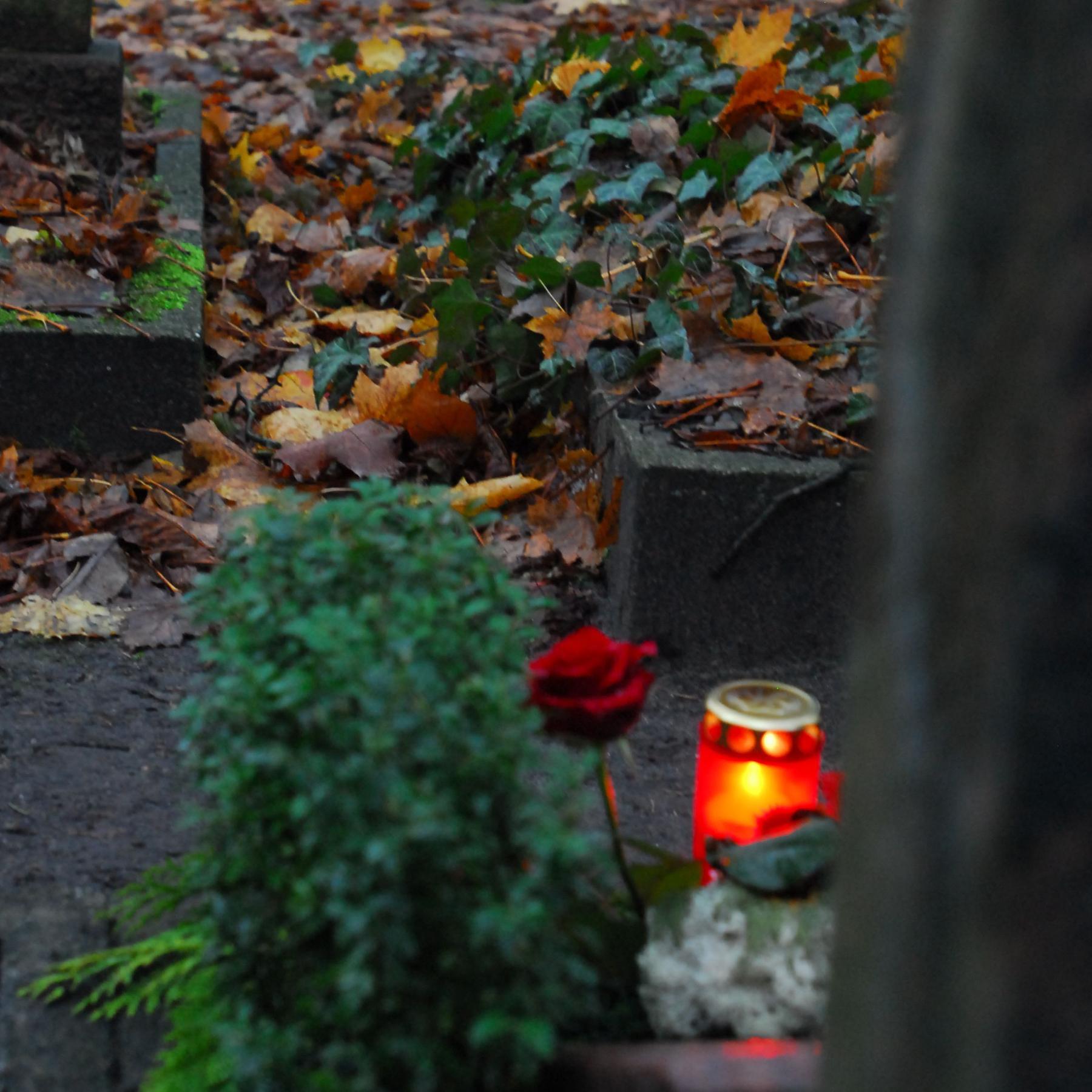Jenseits der Zeit - Auf der Suche nach der Ewigkeit