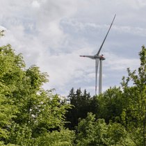 Windkraft im Wald: Wie schützen wir die Natur? | Bild: BR/Johanna Schlüter