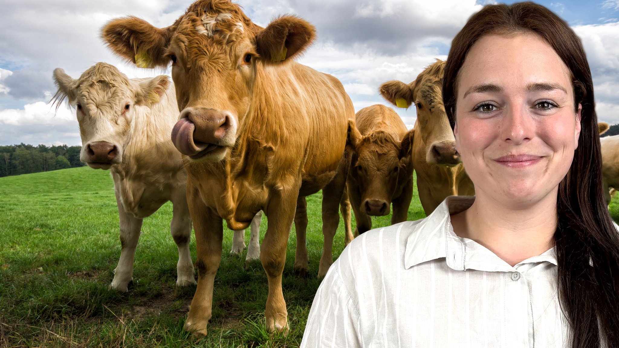 Theresa ist Tierärztin in einer Großtierpraxis im Nürnberger Land und versorgt zum Beispiel Rinder, Pferde, Schafe und Ziegen - von Notfällen nachts, über Geburten bis zu Operationen. | Bild: BR: Joana Lenz, Robin Geigenscheder; Hintergrund: copyright: adobe stock / alphafotos Theresa ist Tierärztin in einer Großtierpraxis im Nürnberger Land und versorgt zum Beispiel Rinder, Pferde, Schafe und Ziegen - von Notfällen nachts, über Geburten bis zu Operationen.