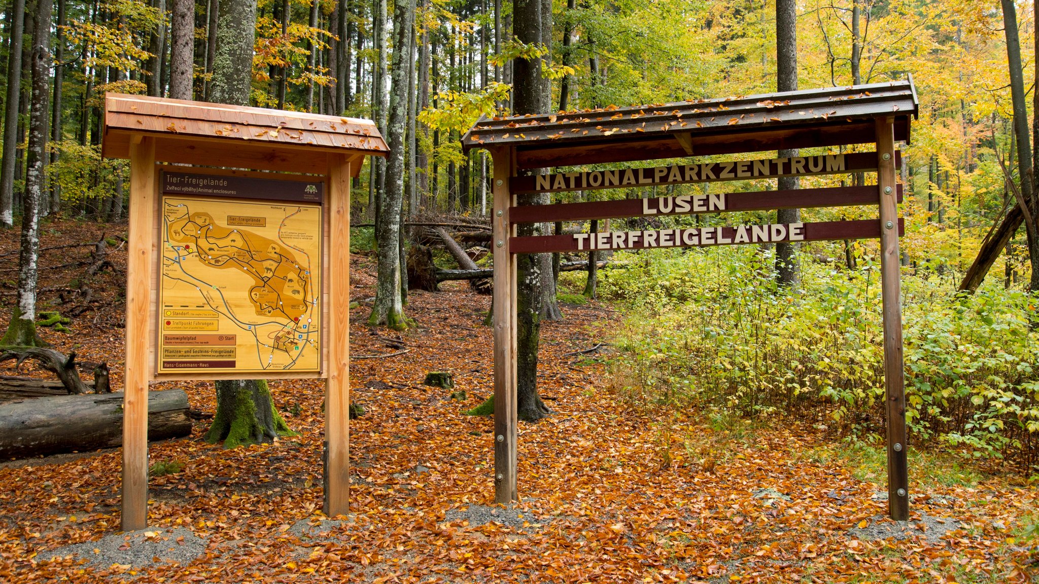 Hinweisschild zum Tierfreigelände am Lusen im Nationalpark Bayerischer Wald 