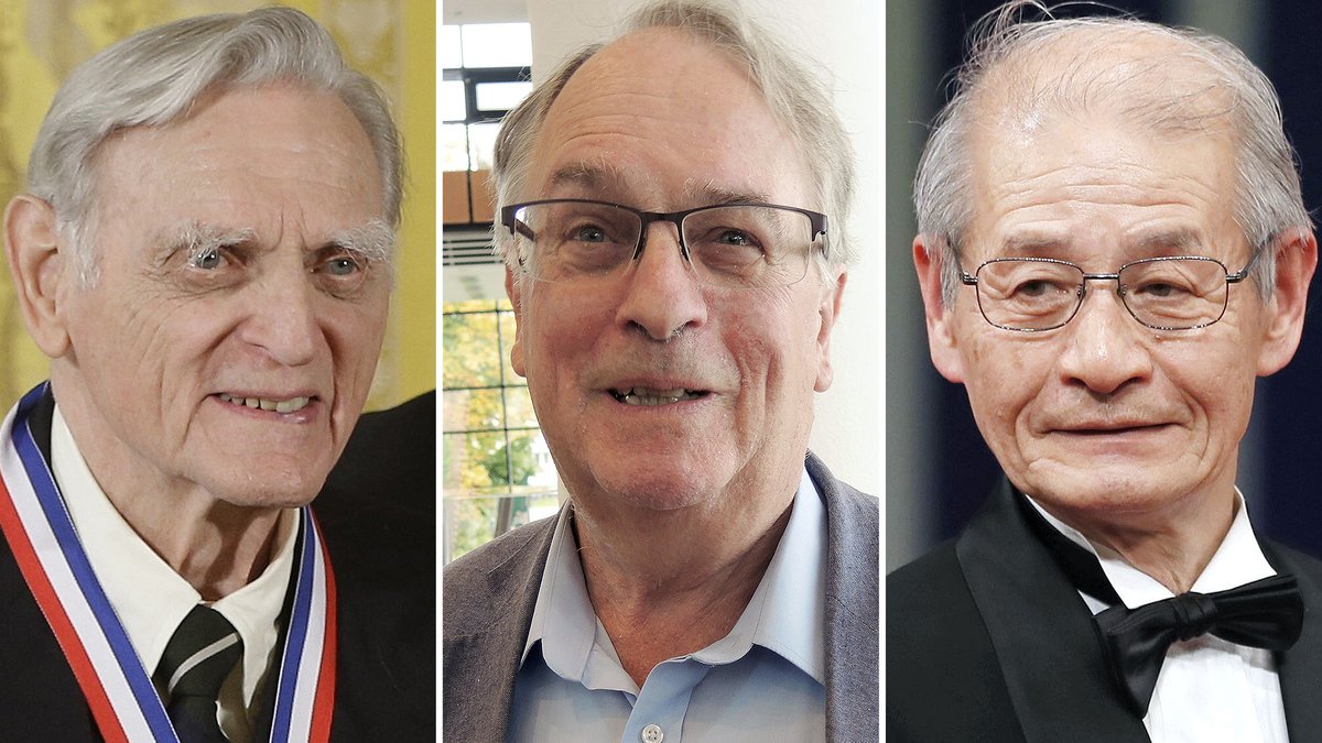 Chemie-Nobelpreisträger 2019: John Goodenough, Stanley Whittingham und Akira Yoshino