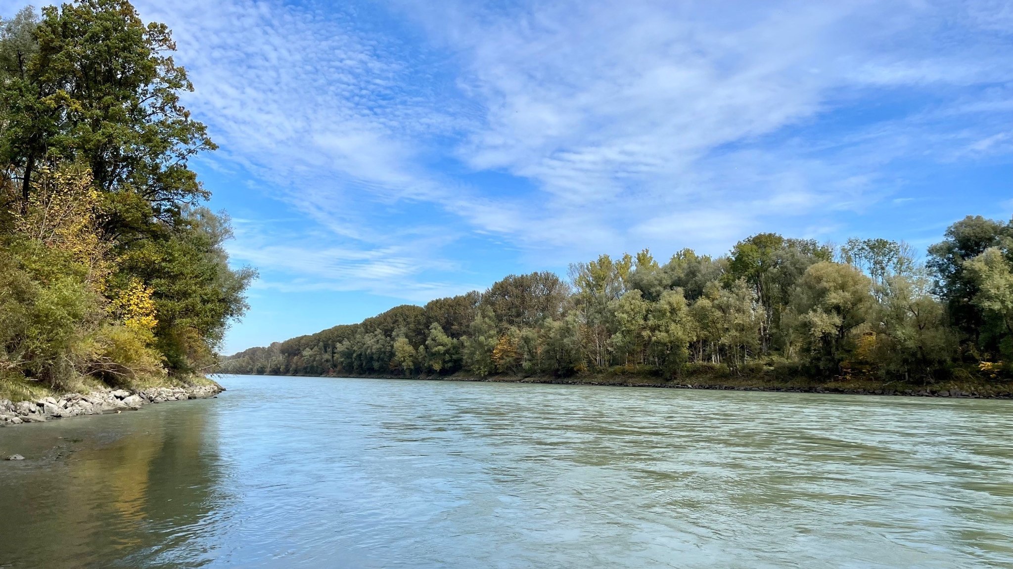 Die Salzach zwischen Fridolfing und Laufen, hier könnte das Leuchtturm-Kraftwerk entstehen