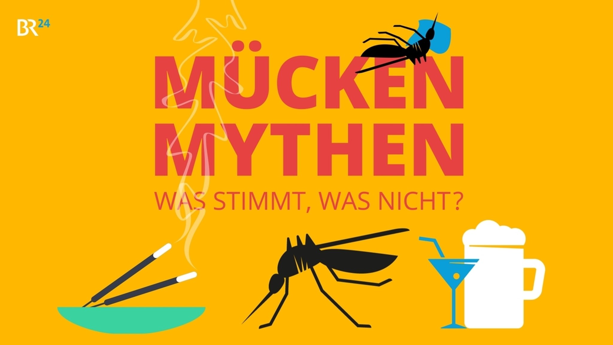 Mücken-Mythen