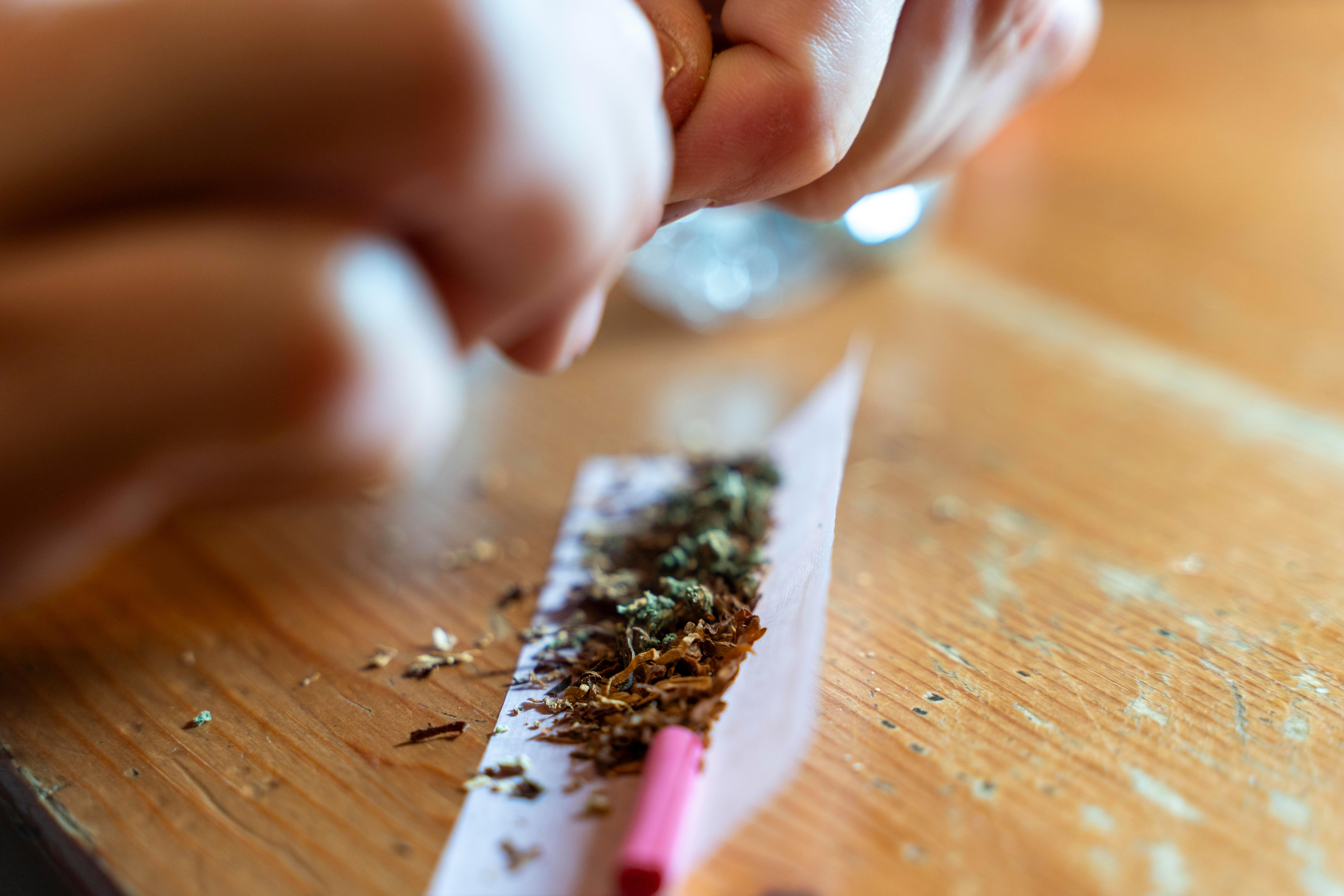 Jemand dreht einen Cannabis-Joint