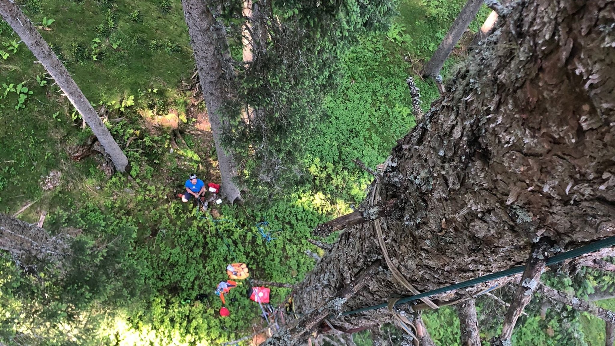 Komplizierte Rettung - Gleitschirmflieger "landet" in Baumkrone