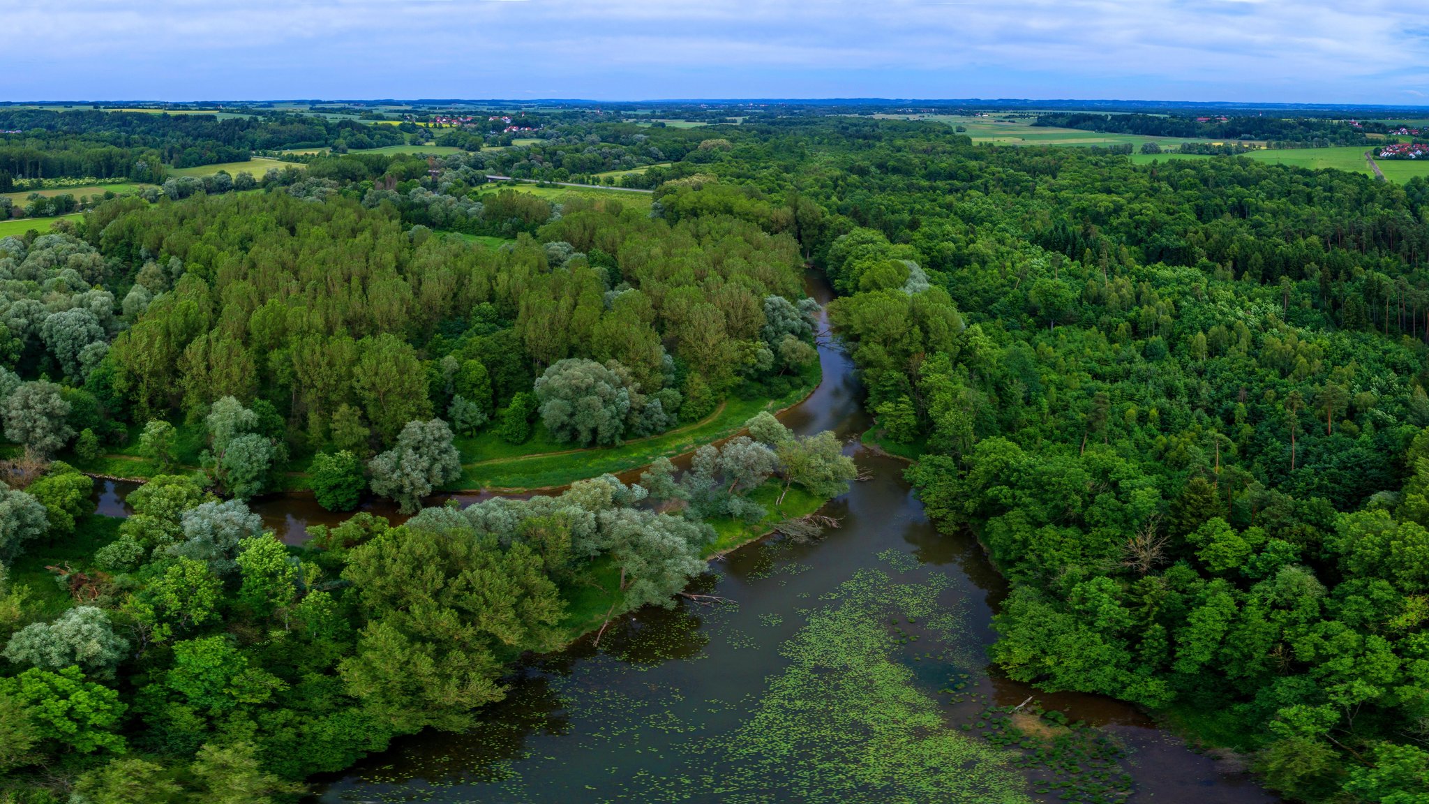 Blick auf die oberbayerischen Amperauen. 