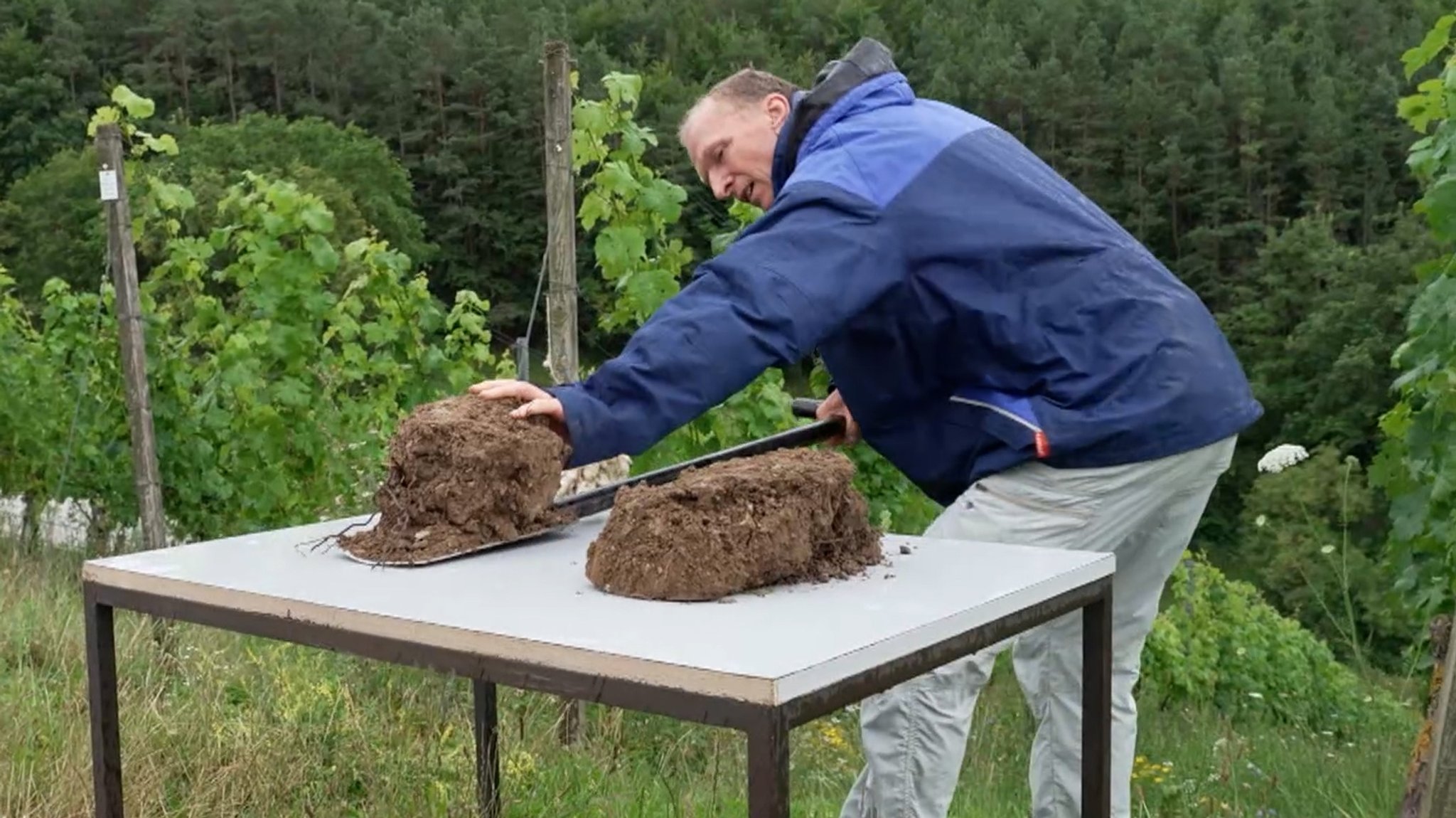 Ein Mann mit Erdproben vor Weinstöcken in Thüngersheim.