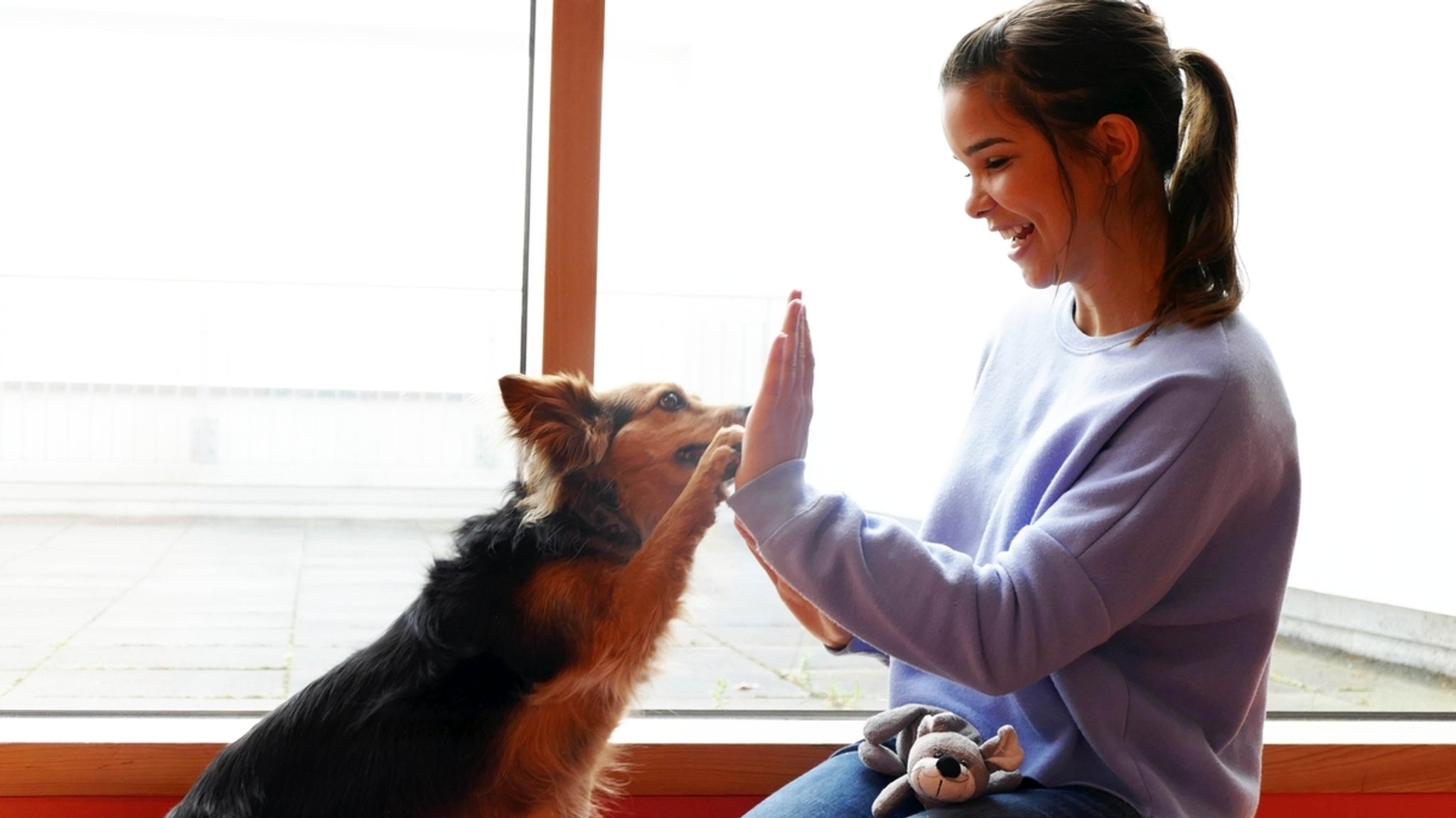 Schulhund Lunka im Einsatz | Lunka gibt Anna „High Five“. Das ist nur einer von zahlreichen Tricks, die sie beherrscht.
| Bild: BR | Text und Bild Medienproduktion GmbH & Co.KG Schulhund Lunka im Einsatz | Lunka gibt Anna „High Five“. Das ist nur einer von zahlreichen Tricks, die sie beherrscht.