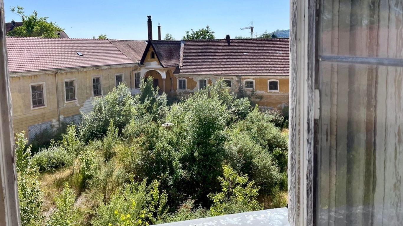 Blick aus dem Trauzimmer auf den Innenhof des Schlosses Ering, zugewachsener Innenhof am Südflügel, dieser wird demnächst wieder hergerichtet.