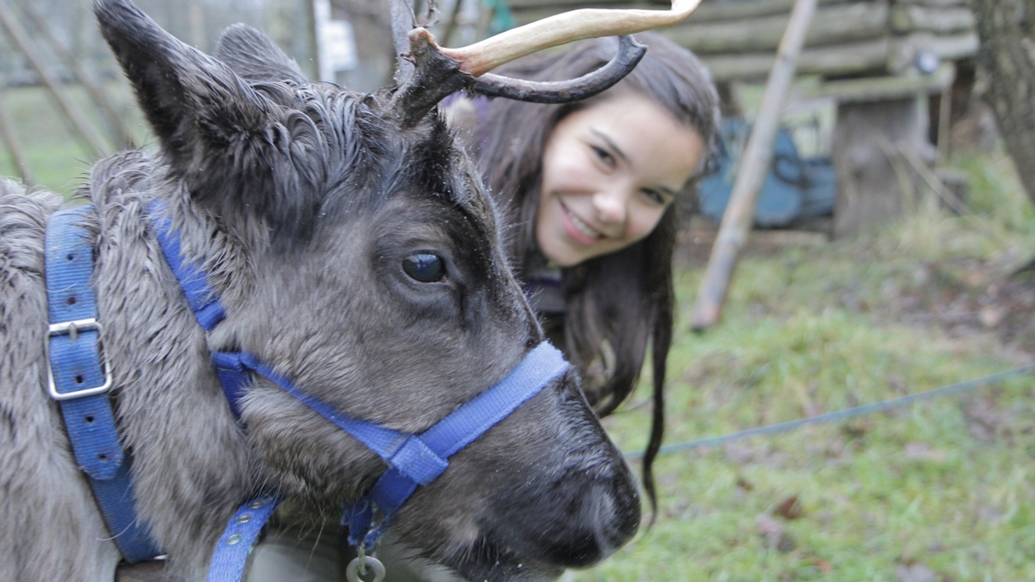 Anna und die wilden Tiere: Anna mit einem Rentier