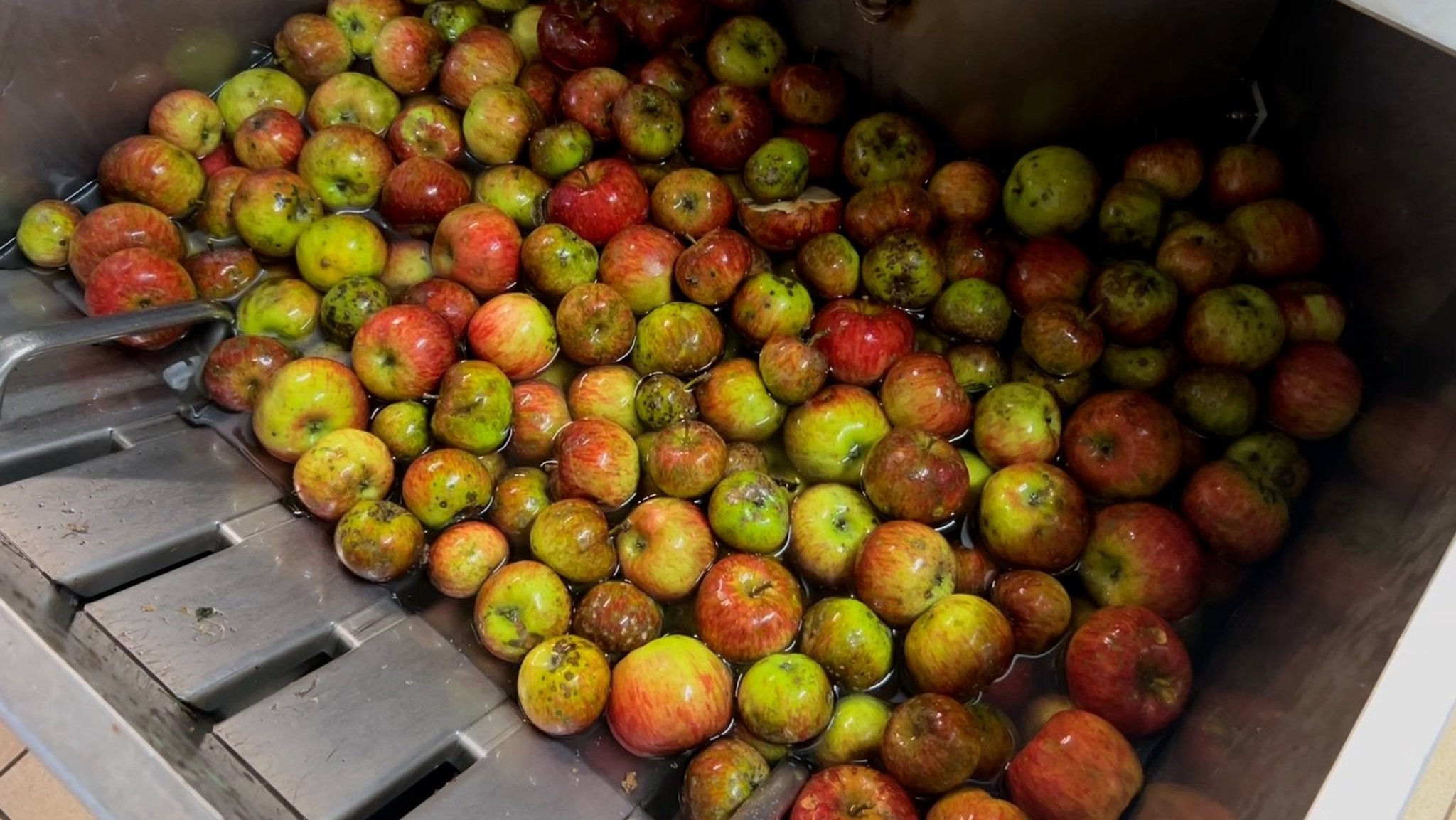 Äpfel beim Waschen in der Obstpresse