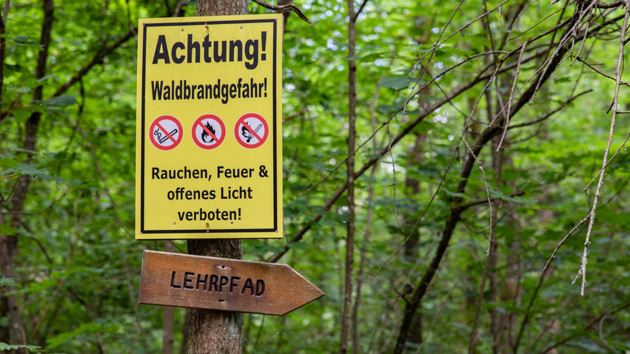 Zweithöchste Stufe: Hohe Waldbrandgefahr in bayerischen Alpen