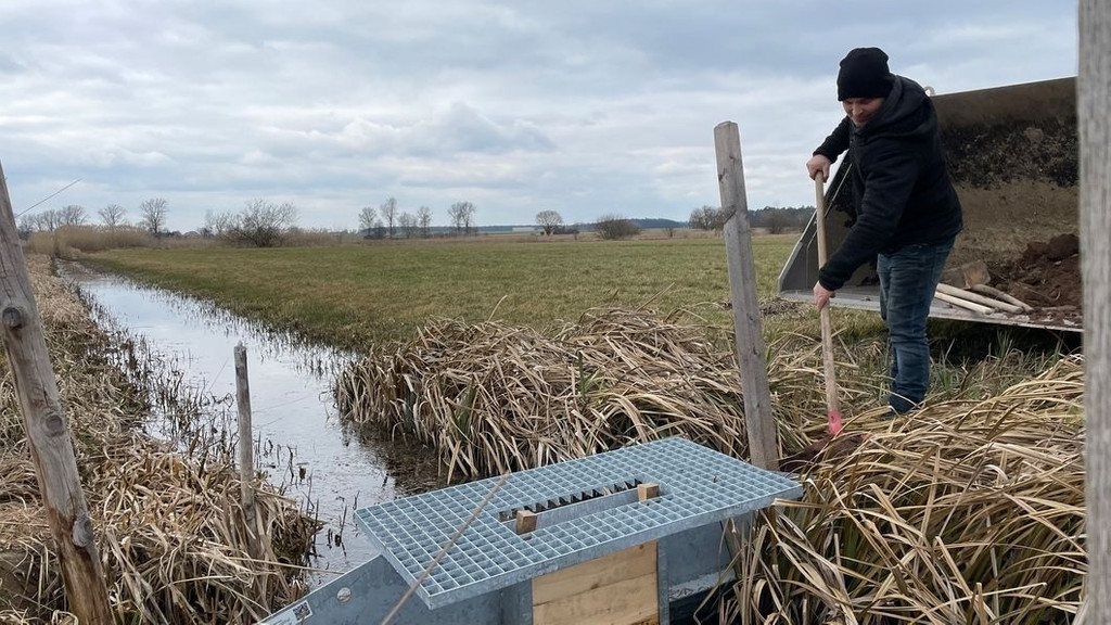 Landwirt Thomas Högler staut Wasser in einem Graben. In diesen Wiesen rund um die Altmühl müsste jetzt eigentlich Hochwasser stehen. | Bild: BR / Ulrike Lefherz Landwirt Thomas Högler staut Wasser in einem Graben. In diesen Wiesen rund um die Altmühl müsste jetzt eigentlich Hochwasser stehen.
