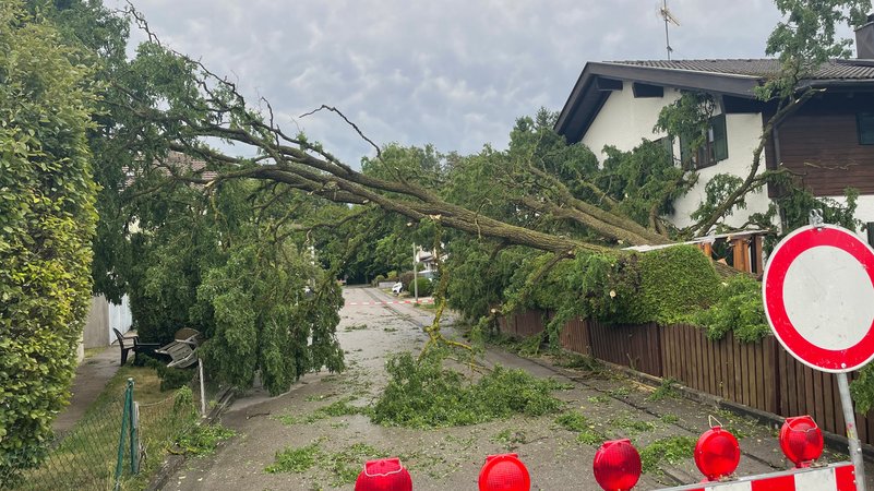 Umgestürzter Baum blockiert Straße in Türkheim