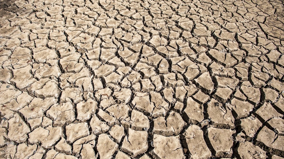 Folgen der Dürresommer: Trockenheit in der Tiefe