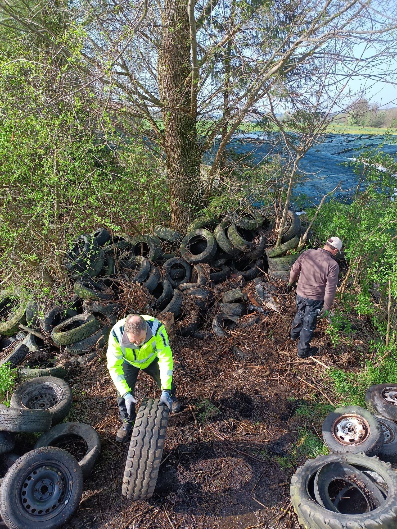 Zwei Männer entsorgen Reifen, die in der Natur abgeladen wurden.