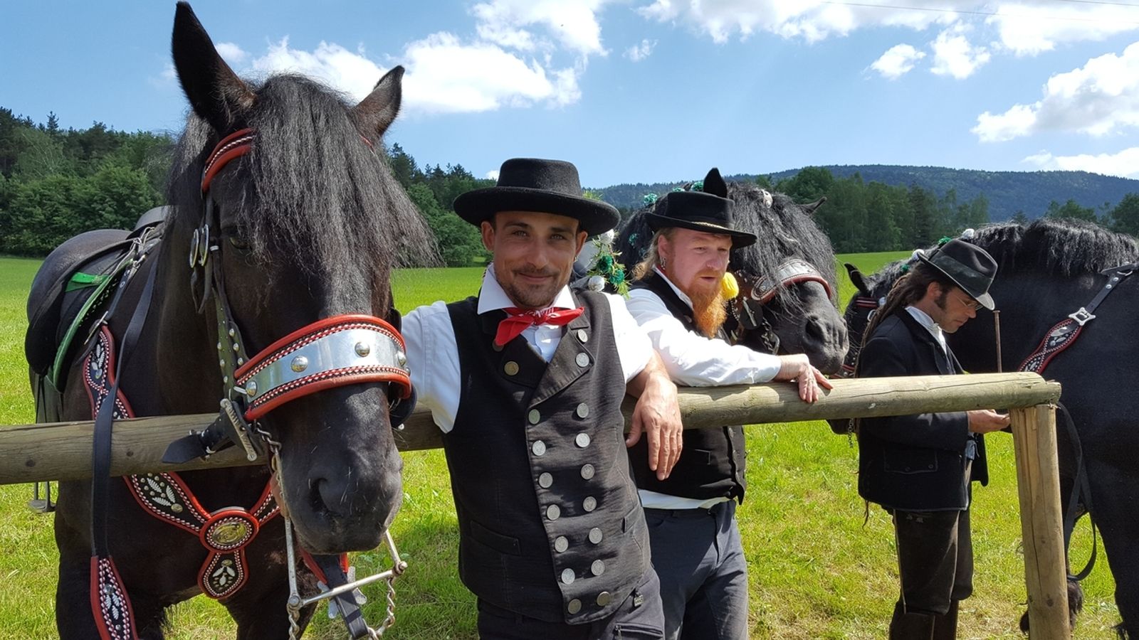 Sie sucht ihn ochsenfurt