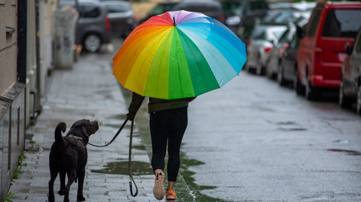 Eine Frau geht bei Regen mit einem Hund spazieren.