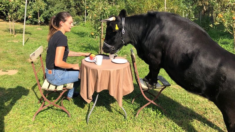 Die 20-jährige Lisa Marie Schüßler mit ihrer Kuh Luna am Kaffeetisch.
