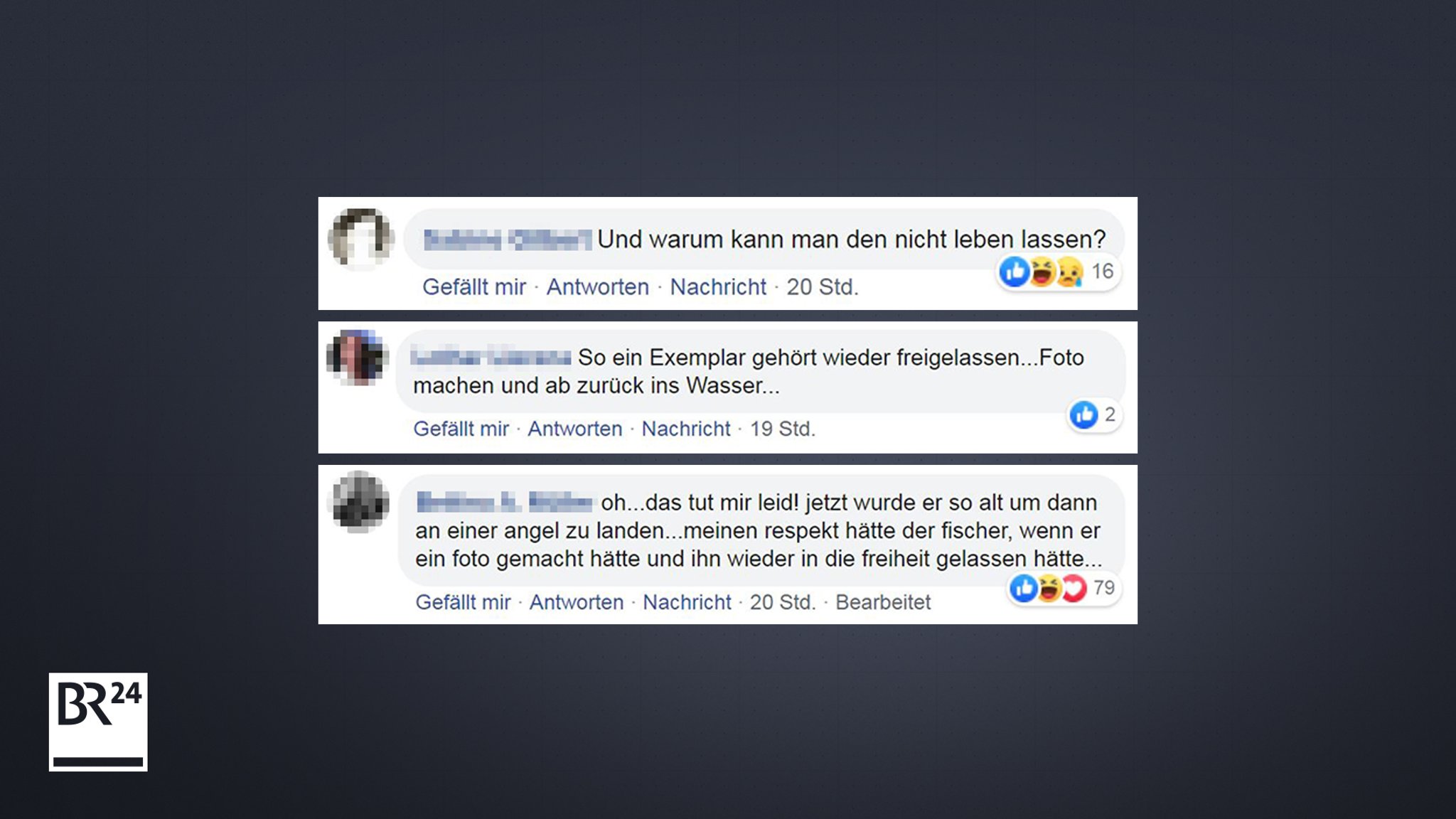 Kommentare auf der Facebook-Seite von BR24