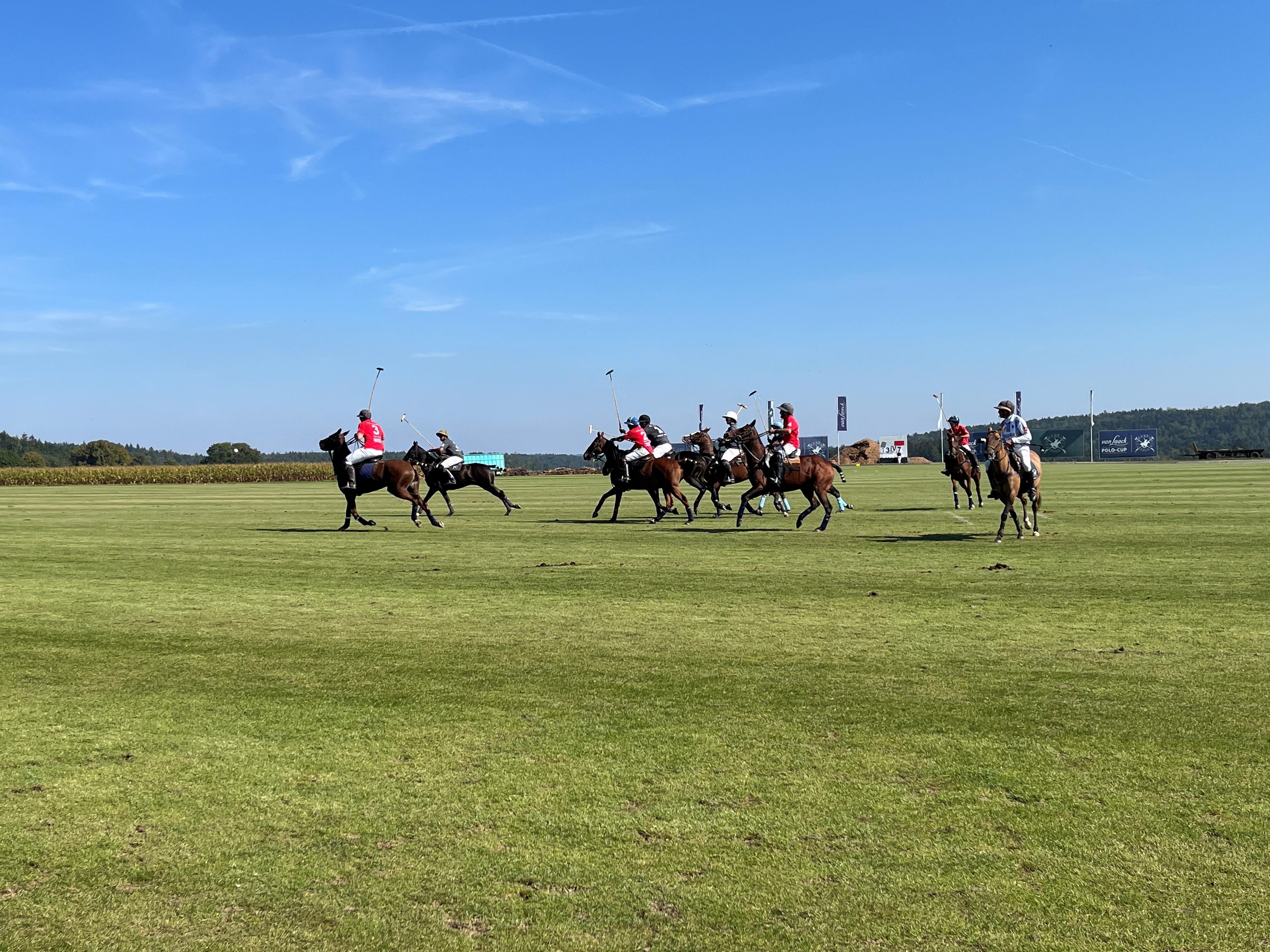 Reiterinnen und Reiter jagen auf ihren Pferden einem Ball hinterher